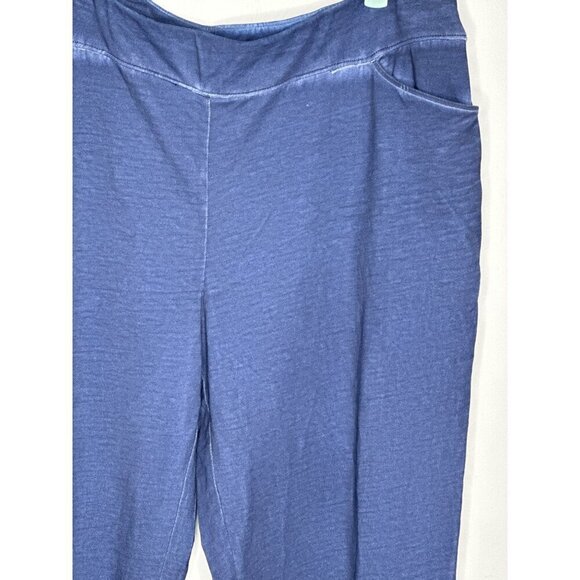 NWT Chico's Cheetah pigment dye blue longe pants size L/12 - Picture 5 of 11